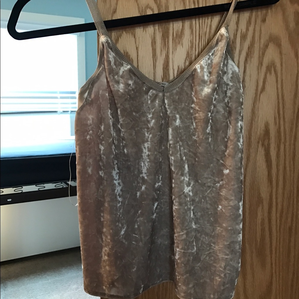 Zara Suede Nude Top