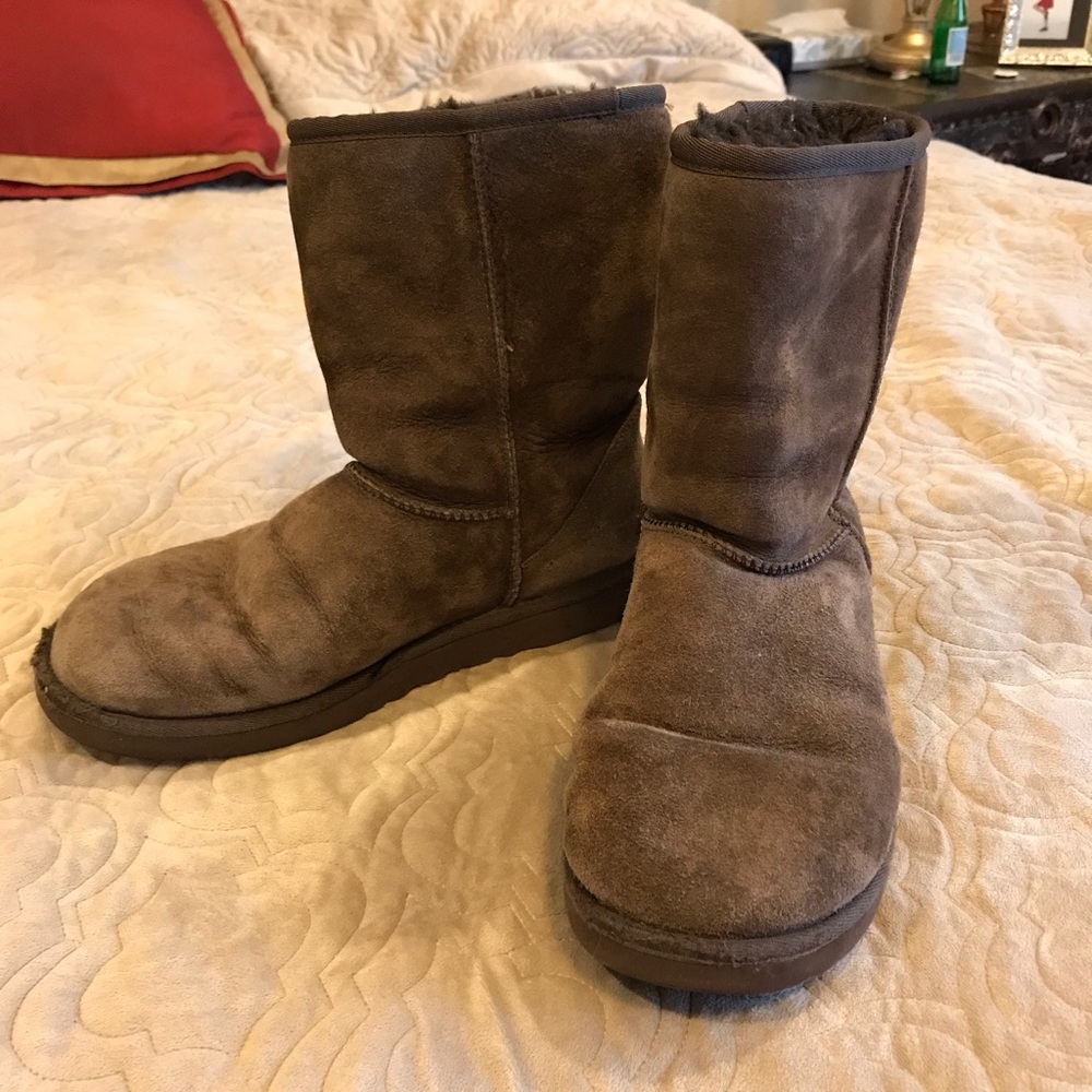 Dark Brown Short Ugg Boots