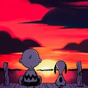 Meet your Posher, Phil