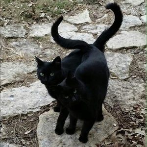 Meet your Posher, Monica