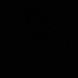 Meet your Posher, Dusty