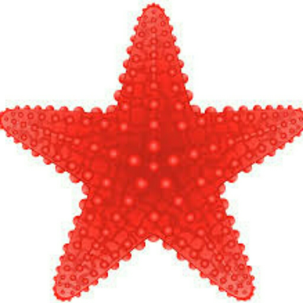 Thank you for the 5 star rating : )
