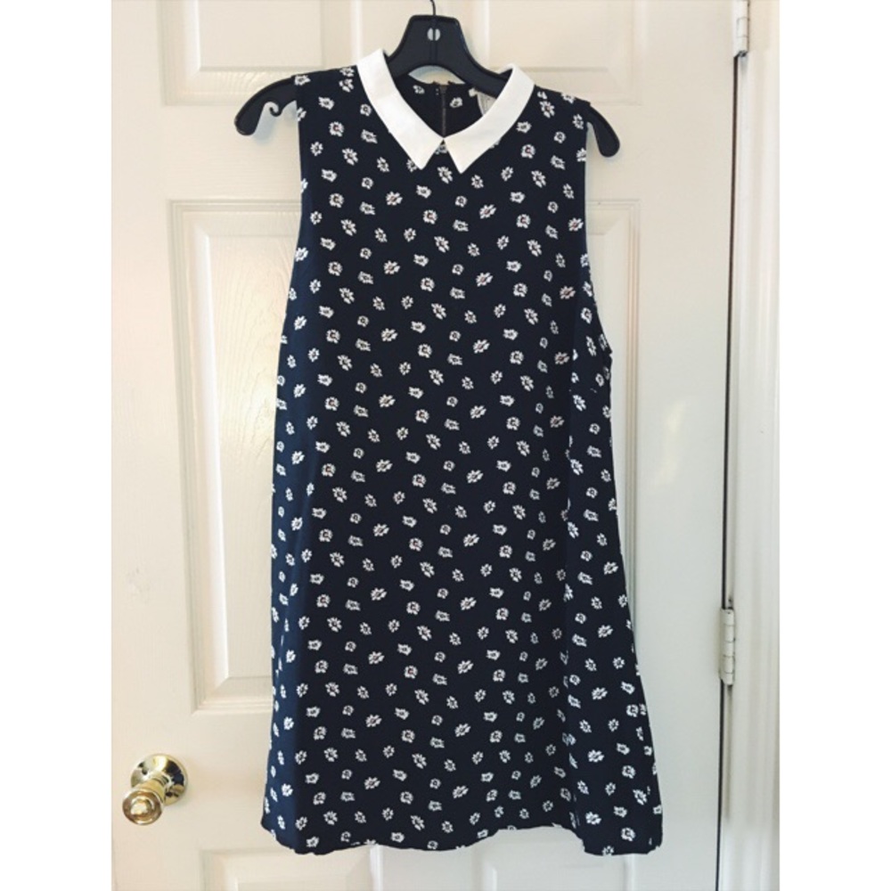 Daisy Peter Pan Collar Dress