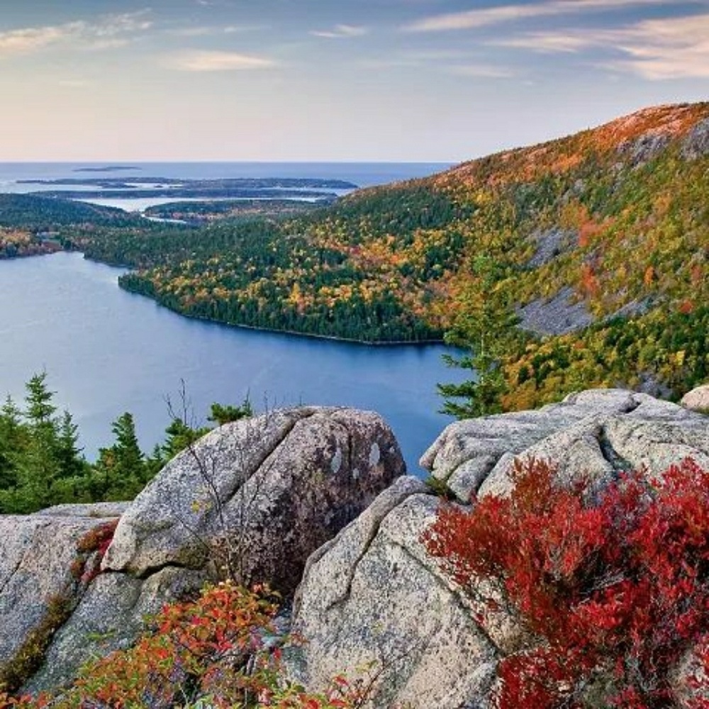 Meet your Posher, Cassandra