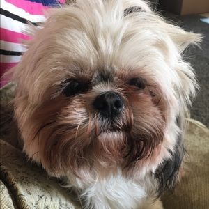 Meet your Posher, Ria