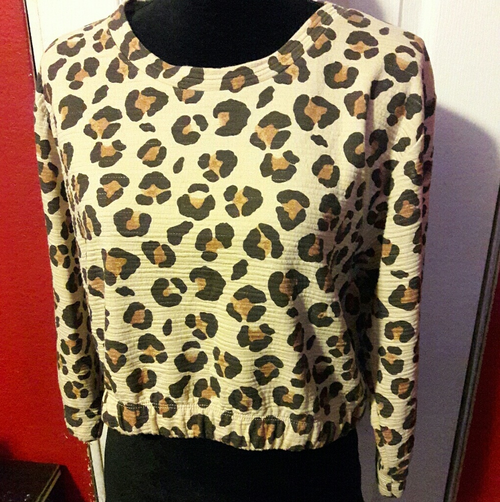 ZARA Trafaluc Medium Crop Top Sweater Leopard