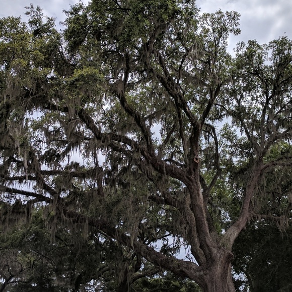 Meet your Posher, Rebecca - Picture 1 of 1