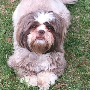 Meet your Posher, Brandy