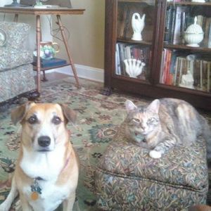 Meet your Posher, Peggy