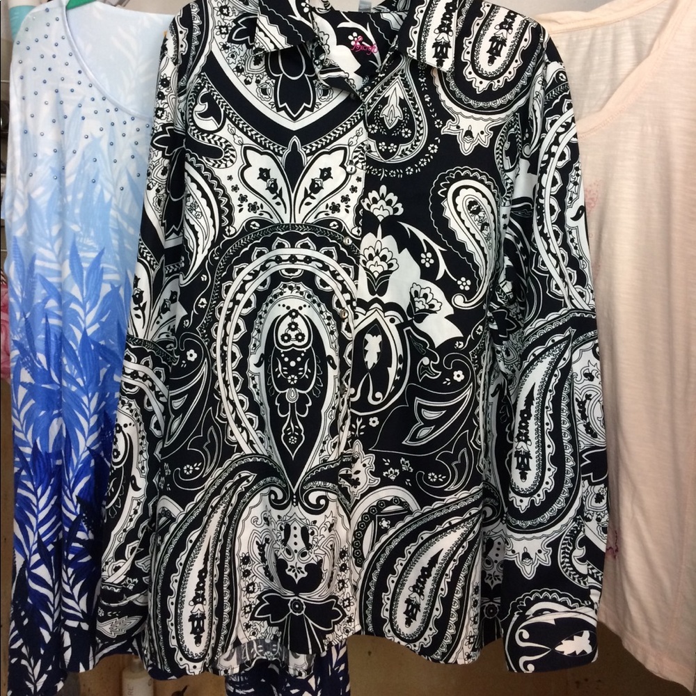 Foxcroft wrinkle free blouse with long sleeves