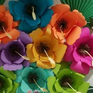 Meet your Posher, Nubia