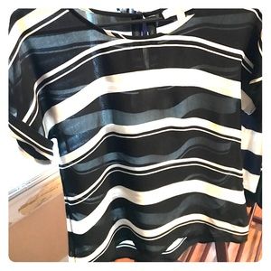 Banana Republic Sheer Top