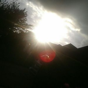 Meet your Posher, Ariel