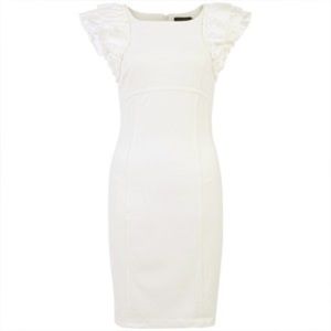 Ted Baker Renii dress