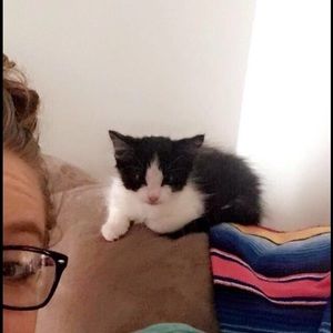 Meet your Posher, Emily