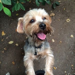 Meet your Posher, Erin