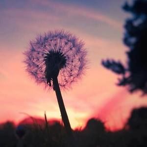 Meet your Posher, Janette