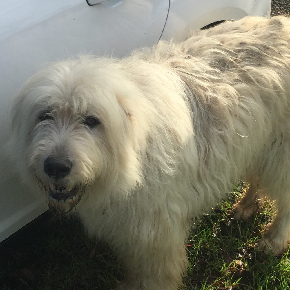 Meet your Posher, Donna Hudson.