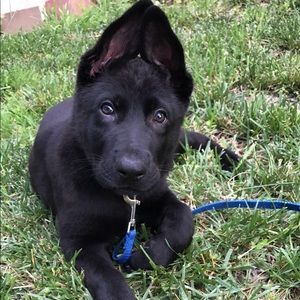 Meet your Posher, Valeria