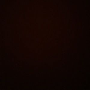 Meet your Posher, Ben