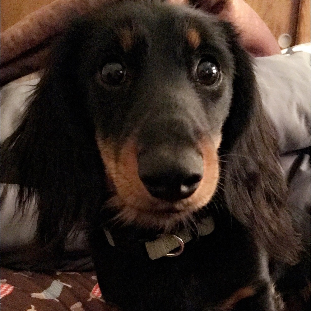 Meet your Posher, Jennifer