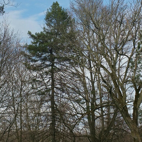 Meet your Posher, Samantha - Picture 1 of 1