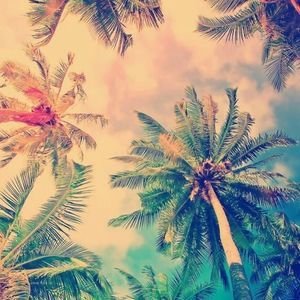 Meet your Posher, Daxton