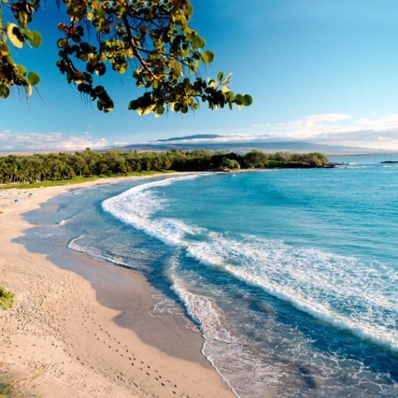 Meet 💕hawaii_aloha💕 - Picture 3 of 6