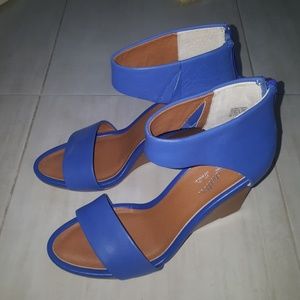 Blue and Wood Seychelles Wedges