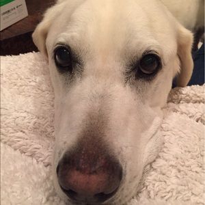 Meet your Posher, Christine