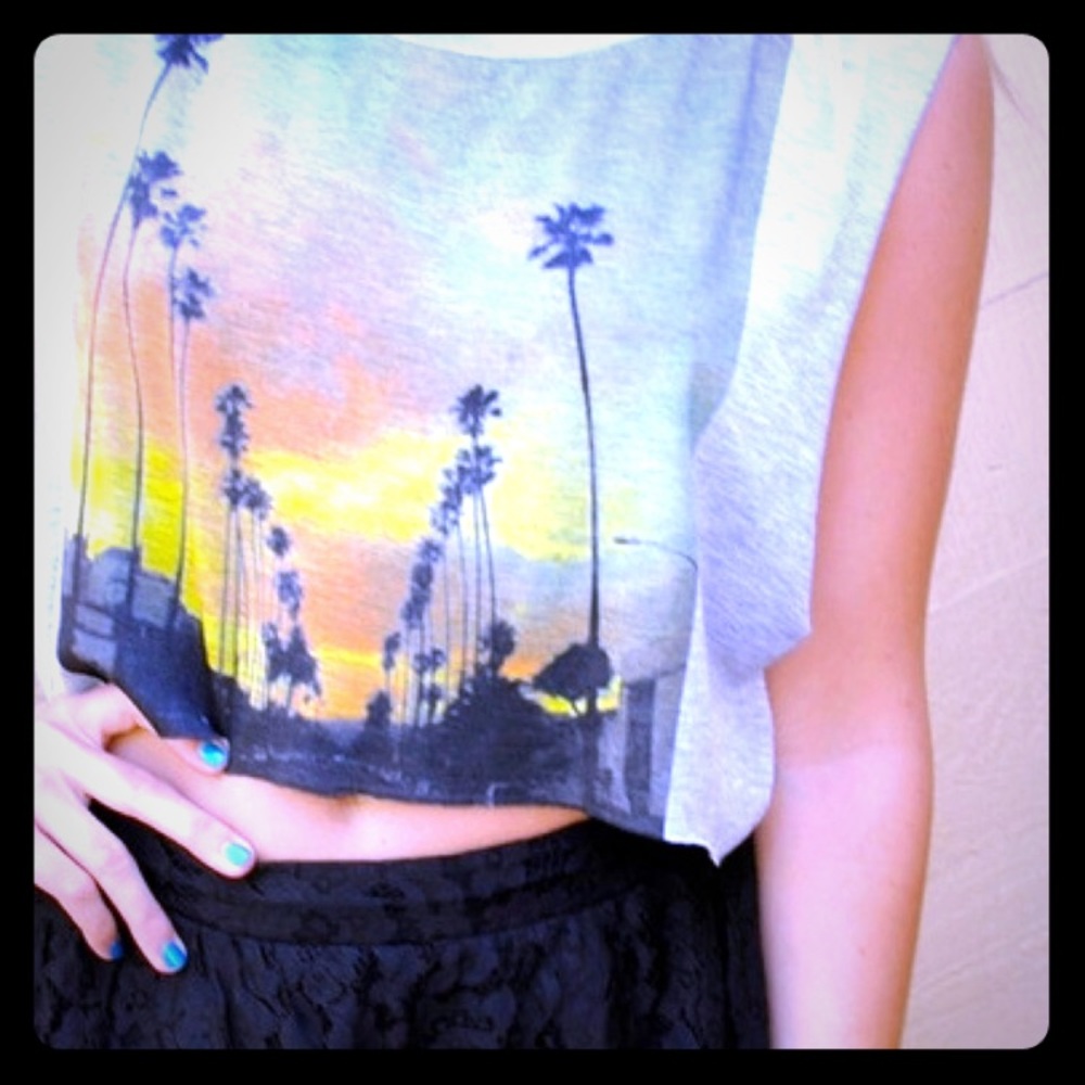 Van de Vort Brand Palm Tree Sunset Crop!