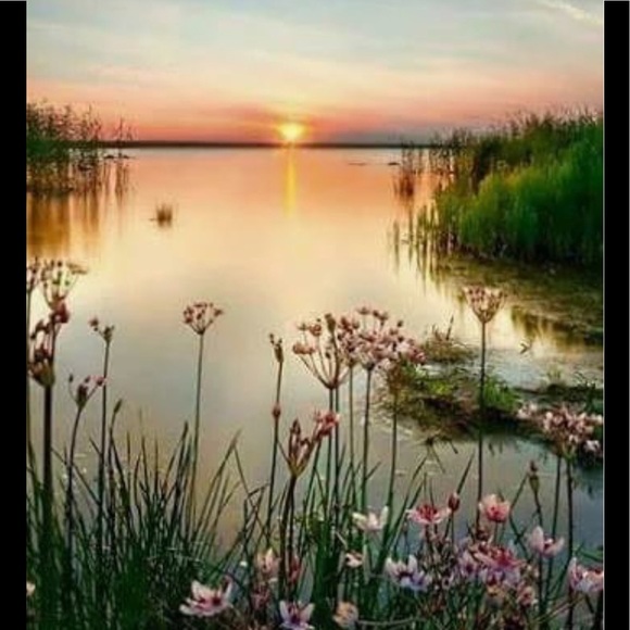 Meet your Posher, Wsf - Picture 2 of 2