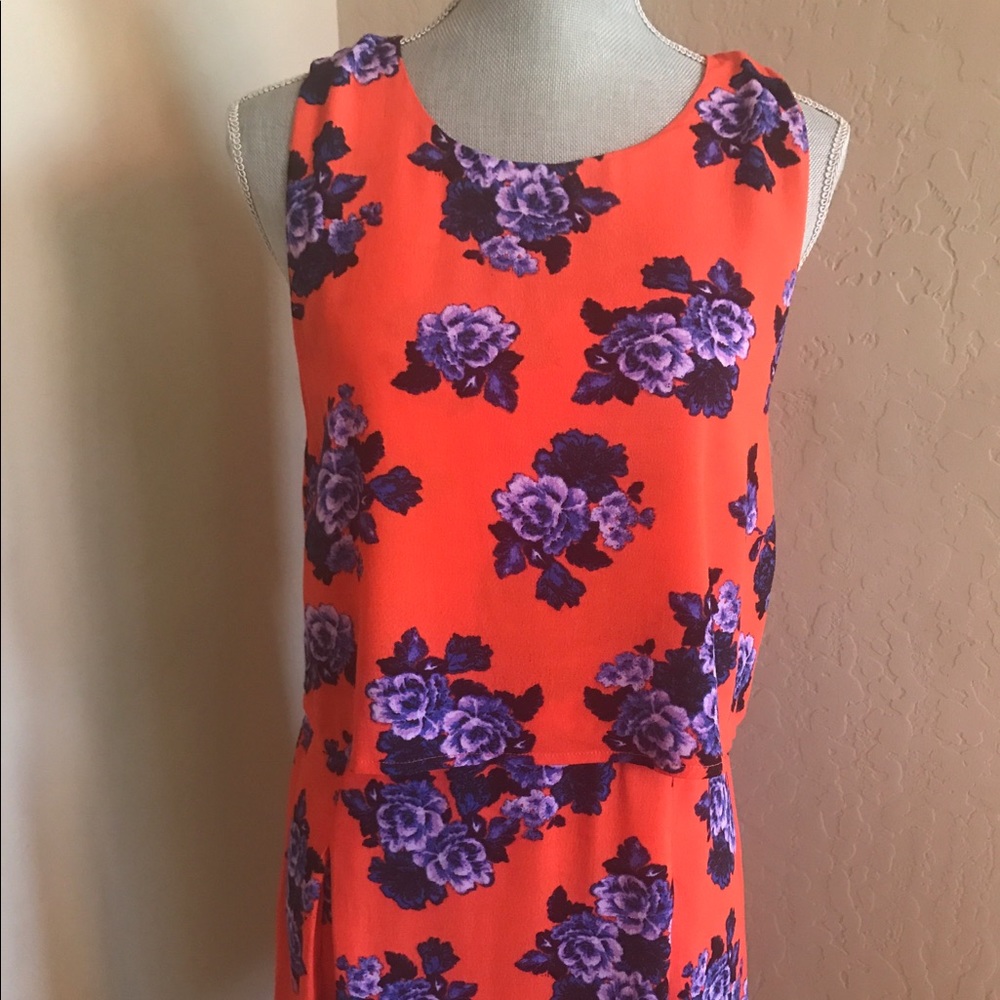 Mink pink floral dress