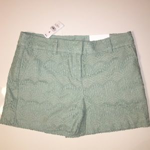 NWT - ANN TAYLOR LOFT