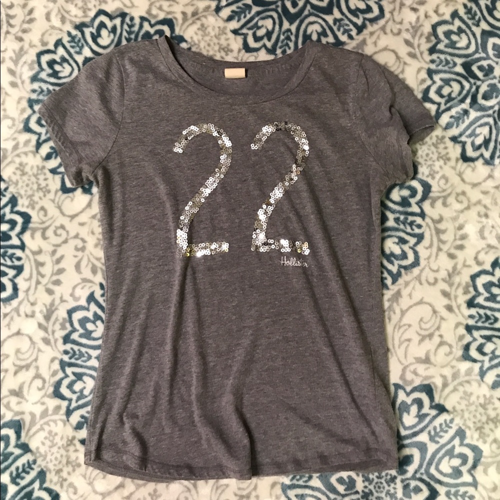 Gray Hollister Tee NWOT