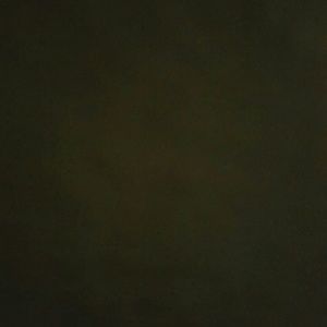 Meet your Posher, Benny