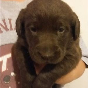 Meet your Posher, Paulo