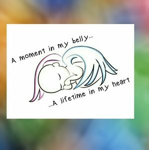 Meet your Posher, Carmen