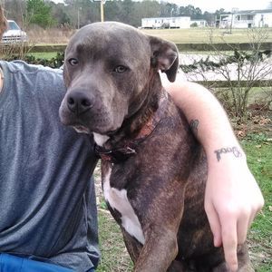 Meet your Posher, Jordan