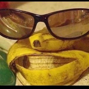 Meet your Posher, Fernando