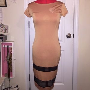 Nude Sheer Panel Bodycon Dress