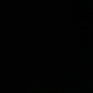 Meet your Posher, Albert