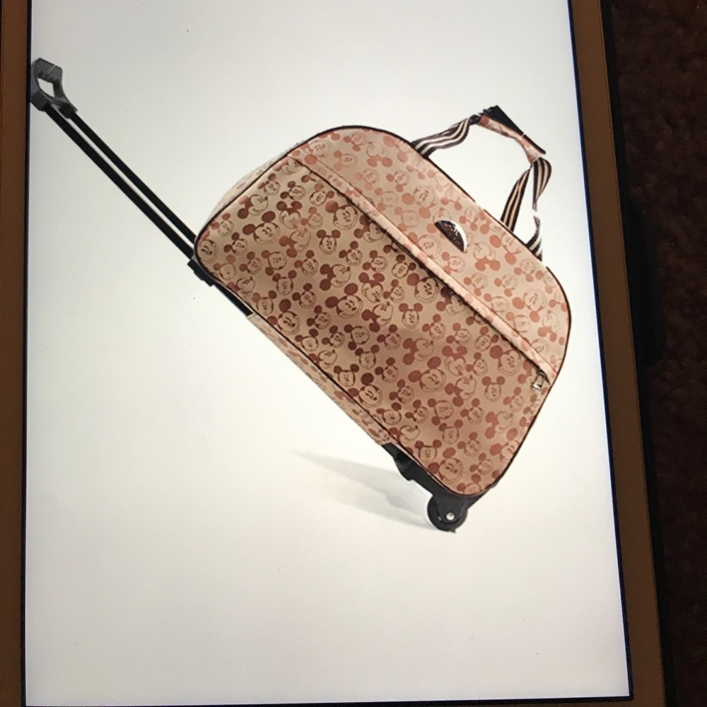 Mickey Mouse luggage