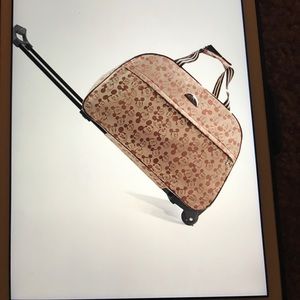 Mickey Mouse luggage