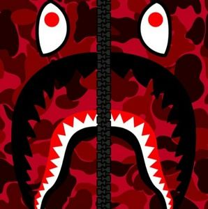 Meet your Posher, Noah