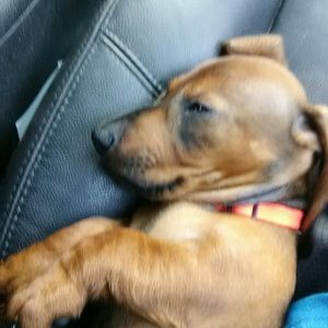 Meet your Posher, James