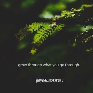 Meet your Posher, Angelia