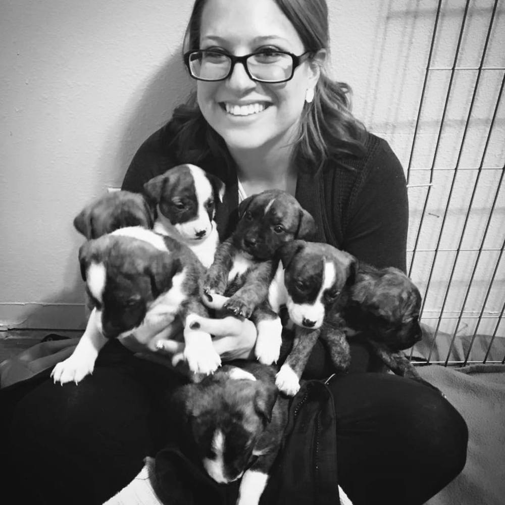 Meet your Posher, Melissa