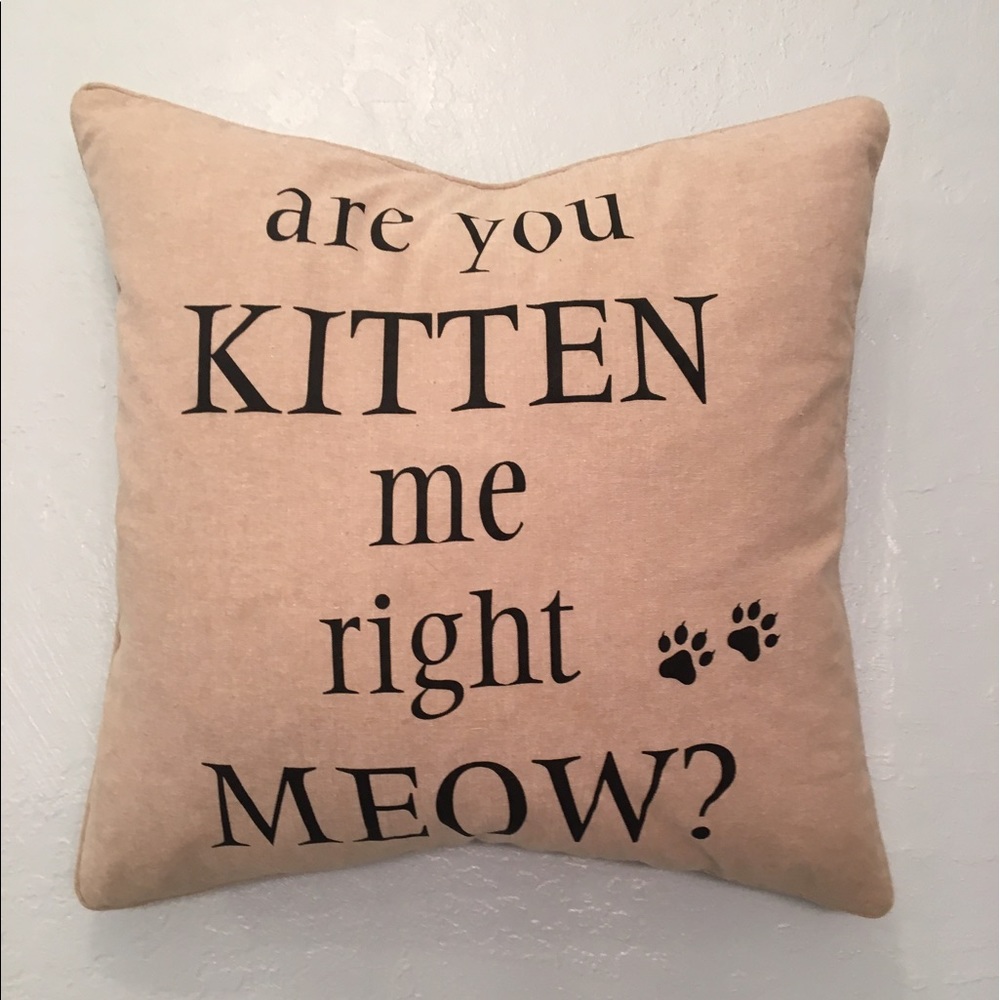 "ARE YOU KITTEN ME..." PILLOW 🚨 PRICE DROP