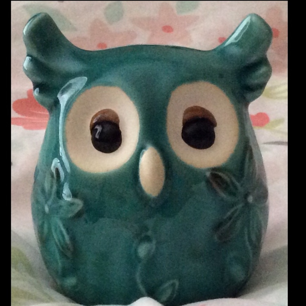 🎈Decorative 🦉 - Picture 2 of 2